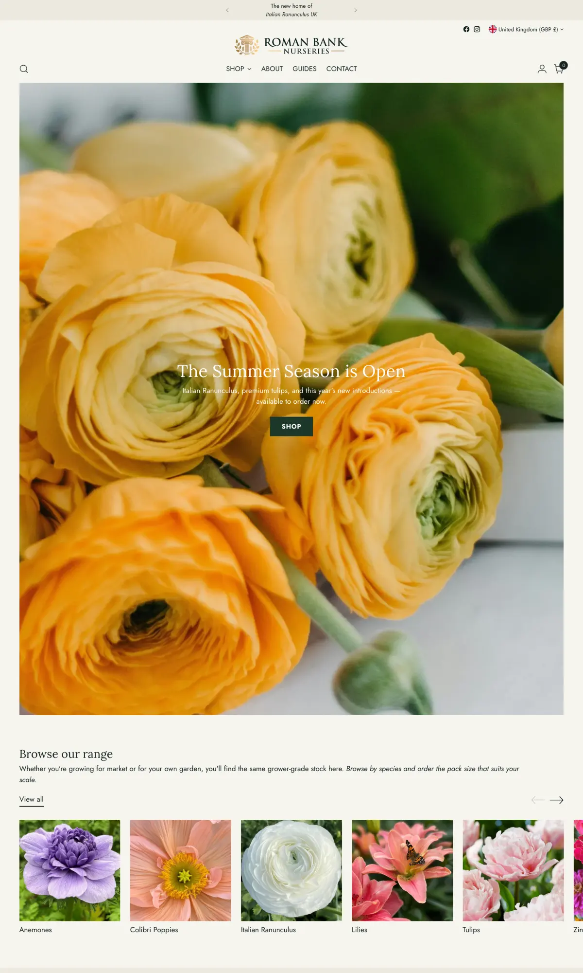 romanbanknurseries.co.uk — the storefront, top of the homepage